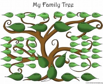 family tree